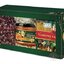 FYTO Darčeková kazeta Vianoce Vianočný čaj: sypaný 100 g + porciovaný 20x2 g (40 g) + lekvár 220 g, 1x1 set obrázok