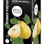 FYTO HRUŠKA & GINKGO ovocno-bylinný čaj 20x2 g (40 g) obrázok