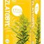 FYTO Zlatobyľ 20x1,5 g (30 g) obrázok