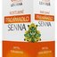 HERBEX Lekáreň Rastlinné PREHÁŇADLO SENNA bylinná zmes (senna a mäta) čaj 20x2 g (40 g) obrázok