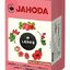 LEROS ČAJOVÁ CHVÍĽKA JAHODA ovocný čaj aromatizovaný, nálevové vrecká 20x2 g (40 g) obrázok