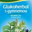 LEROS NATUR GLUKOHERBAL S GYMNEMOU (Diabet. zmes) BYLINNÝ ČAJ 20x1 g (20 g) obrázok