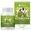 Liftea KOMBUCHA EnzymAktiv cps 1x60 ks obrázok