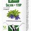 Liftea ŠALVIA + YZOP cps 1x30 ks obrázok