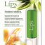 LIPS VANILLA tyčinka na pery 1x3,8 g obrázok