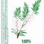 MedPharma TEA TREE OIL 100% rastlinná silica z austrálskeho čajovníka 1x10 ml obrázok