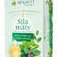 MEGAFYT Sila mäty bylinný čaj porciovaný 20x1,5 g (30 g) obrázok