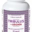 NATURVITA TRIBULUS + ARGINÍN cps 1x90 ks obrázok