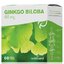 nefdesanté GINGKO BILOBA 60MG cps 6x10 (60 ks) obrázok