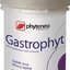 Phyteneo Gastrophyt prášok 1x35 g obrázok