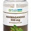 PLUS LEKÁREŇ ASHWAGANDHA 500 mg Withania opojná cps 1x90 ks obrázok