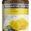 PÚPAVA lekárska - TARAXACUM FORTE - Pharmed New cps 1x60 ks obrázok