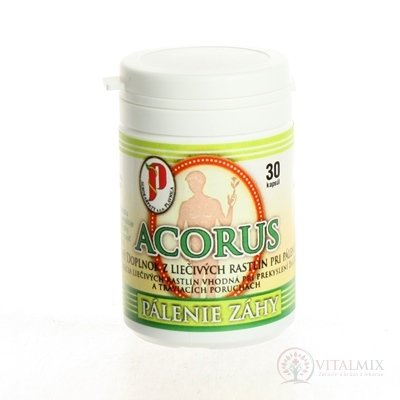 AGROKARPATY ACORUS, PÁLENIE ZÁHY cps 1x30 ks