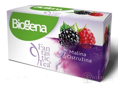 Biogena Fantastic Tea Malina & Ostružina ovocný čaj 20x2,2 g (44 g)