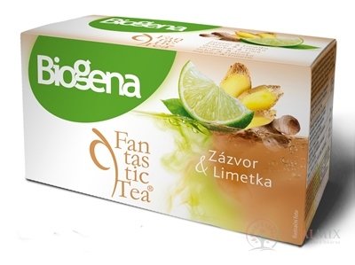 Biogena Fantastic Tea Zázvor & Limetka ovocný čaj 20x2 g (40 g)