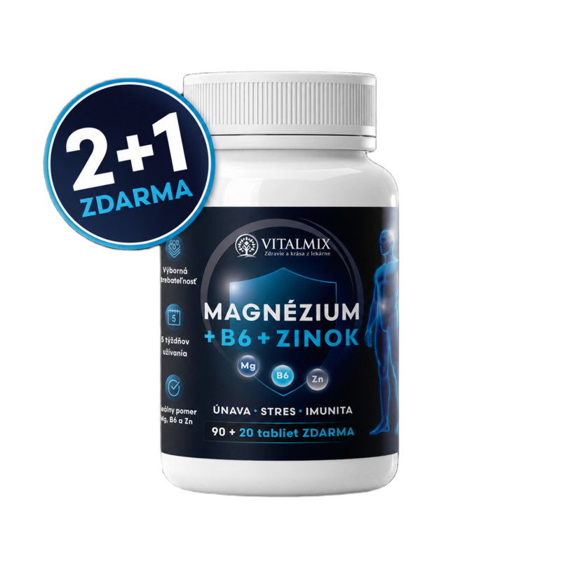 VITALMIX MAGNÉZIUM+B6+ZINOK 90+20tbl AKCIA 2+1 ZDARMA