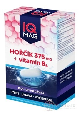 IQ MAG HORČÍK 375 mg + Vitamín B6 cps 1x60 ks
