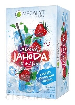 MEGAFYT Ľadová jahoda s mätou ovocná zmes 20x2 g (40 g)