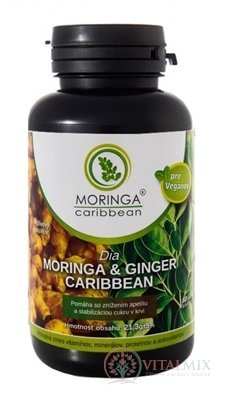 MORINGA Dia MORINGA & GINGER Caribbean cps 1x120 ks
