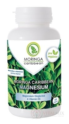 MORINGA Moringa Caribbean MAGNESIUM cps s vitamínom B6 1x120 ks
