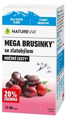 NATUREVIA MEGA BRUSNICE so zlatobyľou cps (20% zdarma) (inov.2026) 1x60 ks