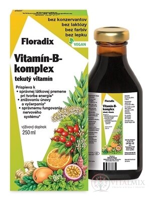 SALUS Floradix Vitamín-B-komplex tekutý vitamín 1x250 ml