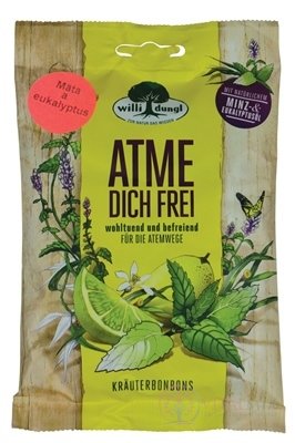 Willi dungl ATME DICH FREI - Mäta a eukalyptus bylinné cukríky (inov.2018) 1x65 g