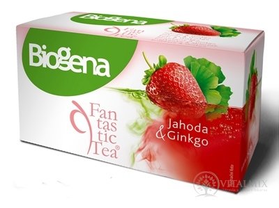 Biogena Fantastic Tea Jahoda & Ginkgo bylinný čaj (inov.2019) 20x2 g (40 g)