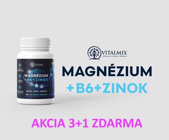 VITALMIX MAGNÉZIUM+B6+ZINOK (90+20tbl) 3+1 ZDARMA