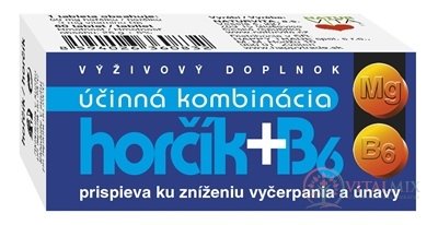 NATURVITA HORČÍK + B6 tbl 1x60 ks