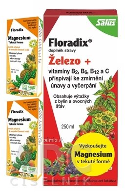 SALUS Floradix Železo + tekutá forma 250 ml + SALUS Floradix Magnesium 2x10 ml, 1x1 set