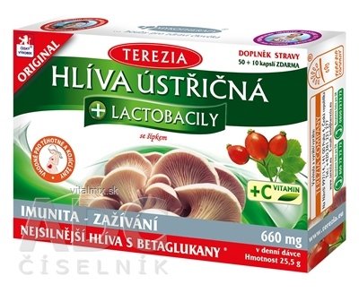 TEREZIA HLIVA USTRICOVITÁ + LAKTOBACILY so šípkami cps 50+10 zadarmo (60 ks)