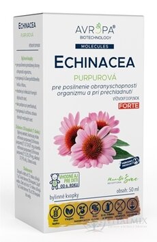 AVROPA Echinacea purpurová bylinné kvapky 1x50 ml