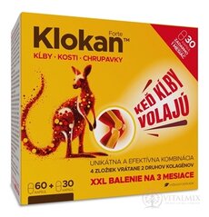 Barny's KLOKAN Forte cps (60+30 zadarmo) 1x90 ks