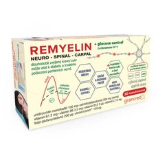 REMYELIN cps (Uridine+PEA micro+vitamíny B,C) 1x30 ks