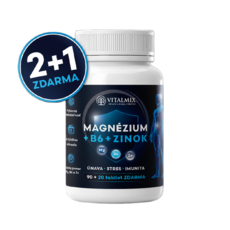 VITALMIX MAGNÉZIUM+B6+ZINOK 90+20tbl AKCIA 2+1 ZDARMA