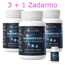 VITALMIX MAGNÉZIUM+B6+ZINOK (90+20tbl) 3+1 ZDARMA