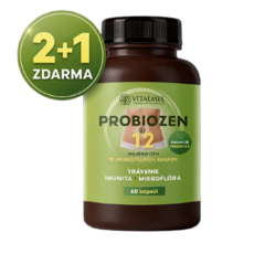 VITALMIX  PROBIOZEN 12mld 3x60cps