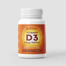 VITALMIX VITAMÍN D3 1000IU 90+20 cps ZDARMA