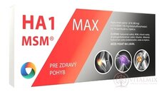 HA1 MSM MAX náhrada synoviálnej tekutiny injekčný roztok kys. hyalurónovej 1,6% a MSM 5% 1x3 ml