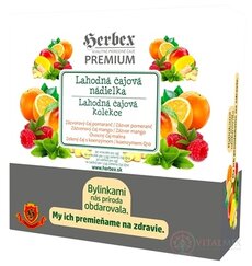 HERBEX Lahodná čajová nádielka čaje(zázvorový čaj pomaranč + zázvorový čaj mango + ovocný čaj + zelený čaj) vrecúška 4x10 ks