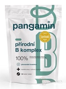 PANGAMIN PRÍRODNÝ B-KOMPLEX tbl (vrecko) 1x120 ks