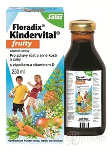 SALUS Floradix Kindervital fruity bylinný sirup 1x250 ml