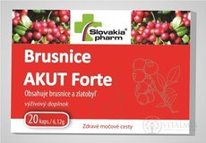 Slovakiapharm Brusnice AKUT Forte cps 1x20 ks