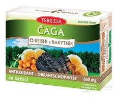 TEREZIA ČAGA + REISHI a RAKYTNÍK cps 1x60 ks