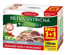 TEREZIA HLIVA USTRICOVITÁ + LAKTOBACILY so šípkami (AKCIA 1+1), cps 60+60 zadarmo (120 ks)