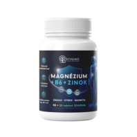VITALMIX MAGNÉZIUM+B6+ZINOK 90+20tbl ZDARMA