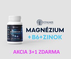 VITALMIX MAGNÉZIUM+B6+ZINOK (90+20tbl) 3+1 ZDARMA