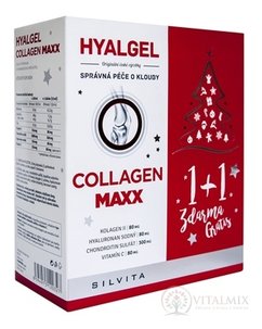 HYALGEL COLLAGEN MAXX Vianočné balenie tekutý prípravok s pomarančovou príchuťou (1+1 zdarma) 2x500 ml (1000 ml), 1x1 set